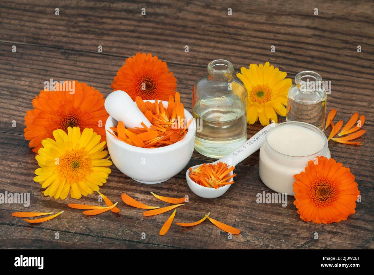 Preparazione dell'unguento di calendula con fiori per rimedi naturali per la cura della pelle. Guarisce le ferite, acne, eczema, stimola il collagene, è antisettico. Foto Stock