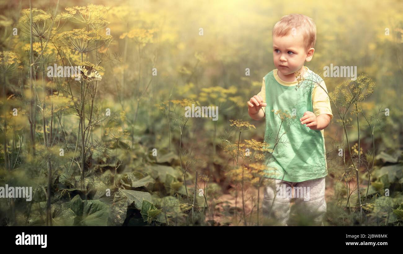 Un ragazzino cattura una farfalla tra grandi piante da giardino, Un ragazzino cattura una farfalla tra grandi piante da giardino Foto Stock
