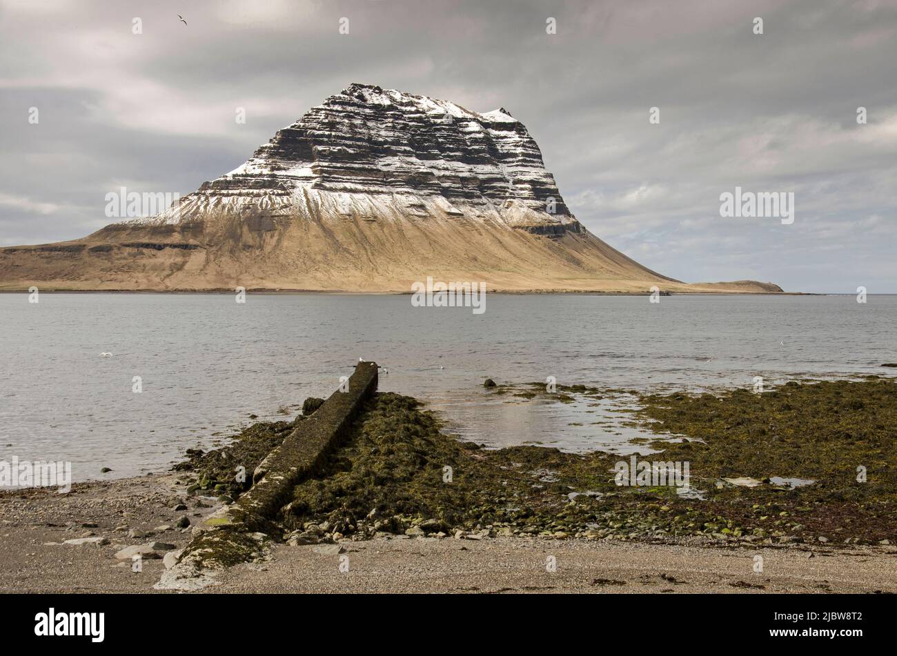 Spiaggia con alghe, rocce e un frangiflutti di cemento e sullo sfondo l'iconica Kirkjufell (montagna della Chiesa) vicino a Grundarfjörður in Islanda Foto Stock