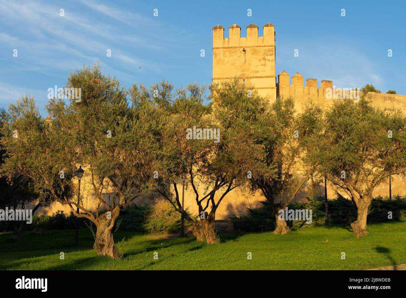 Mura del castello di Badajoz in una giornata di sole da un giardino con ulivi in primo piano, Estremadura, S. Foto Stock