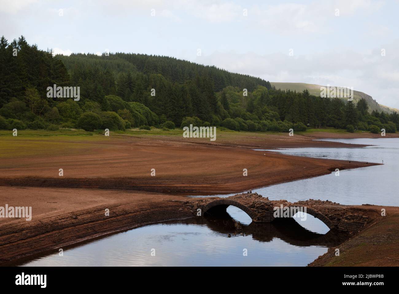 Llwyn Onn Reservoir, Galles del Sud. REGNO UNITO. 8 giugno 2022. Tempo nel Regno Unito: Livelli dell'acqua inferiori al normale questo pomeriggio, con parti del serbatoio che si asciugano. È stato scoperto un vecchio ponte, in uso prima della costruzione del serbatoio, Pont Yr DAF. Credit: Andrew Bartlett/Alamy Live News. Foto Stock