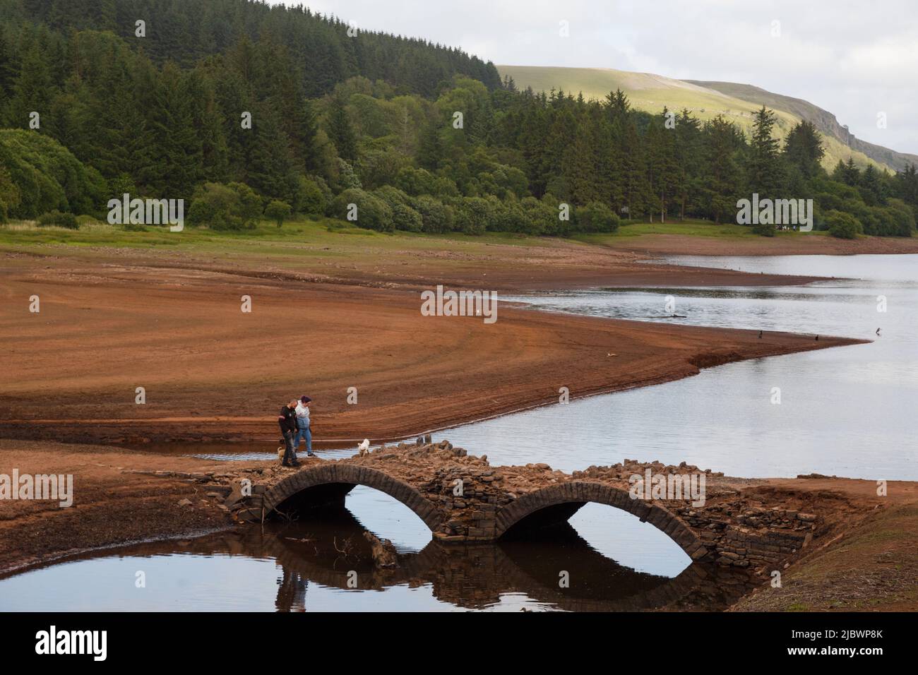 Llwyn Onn Reservoir, Galles del Sud. REGNO UNITO. 8 giugno 2022. Tempo nel Regno Unito: Livelli dell'acqua inferiori al normale questo pomeriggio, con parti del serbatoio che si asciugano. È stato scoperto un vecchio ponte, in uso prima della costruzione del serbatoio, Pont Yr DAF. Credit: Andrew Bartlett/Alamy Live News. Foto Stock