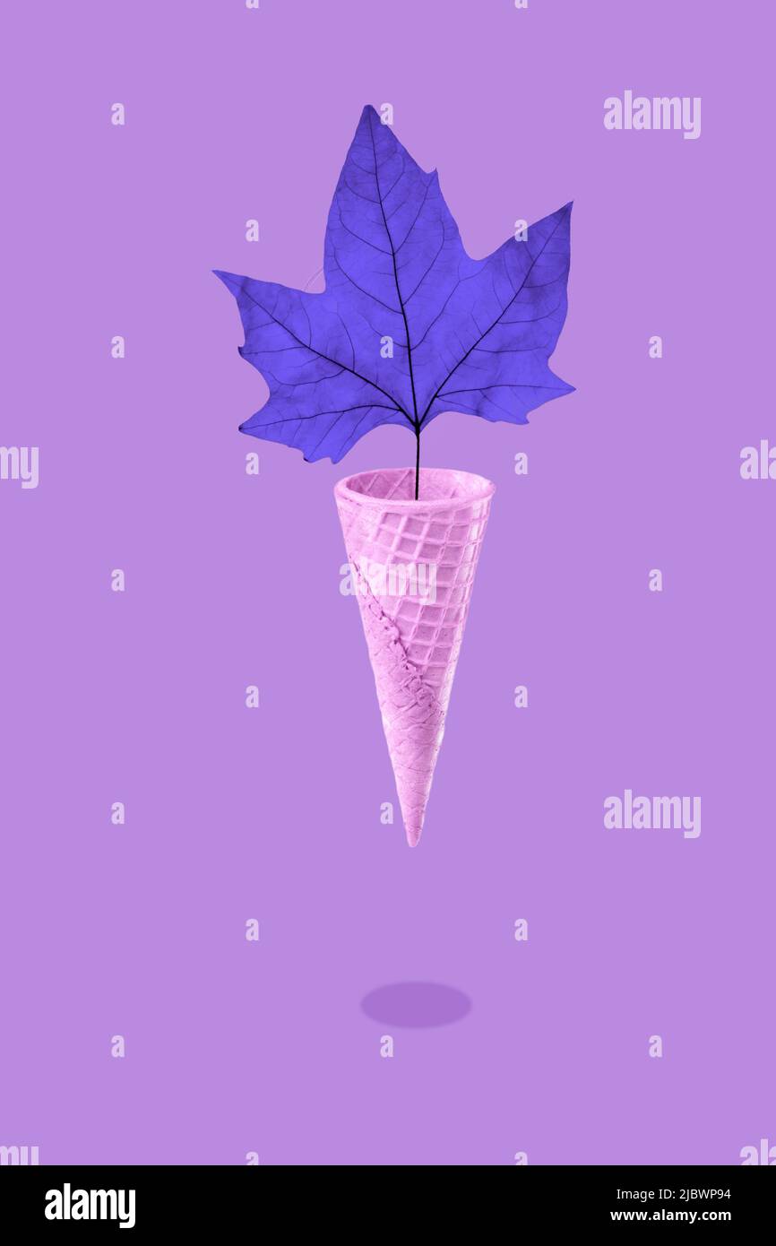 Brillante foglia di acero autunnale in un cono gelato a cialda, concetto di stagione. Foto Stock