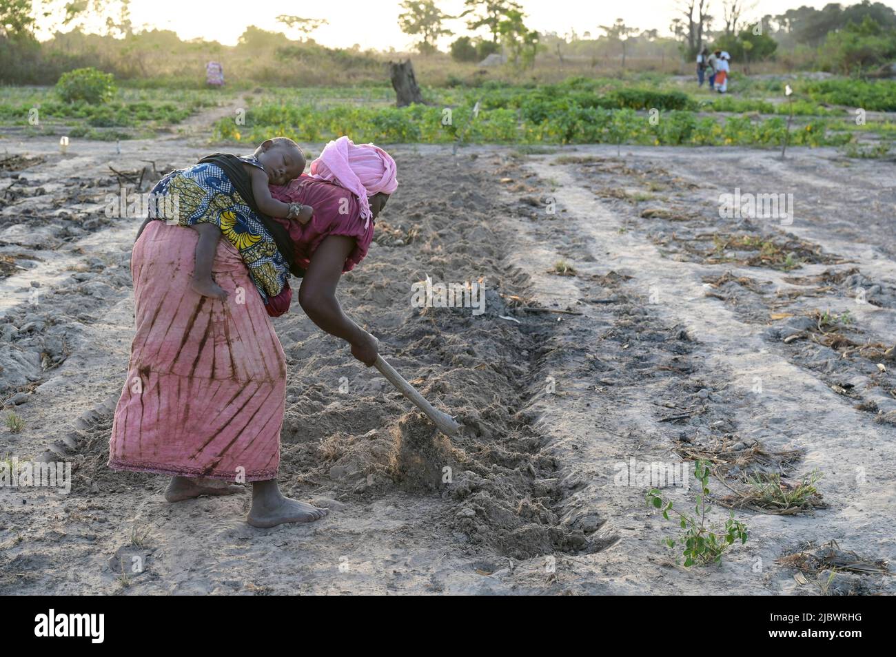 SENEGAL, Casamance, Ziguinchor, villaggio ENAMPORE, progetto Caritas, Giardino vegetale della comunità femminile / Caritas Projekte, Gemüsegärten für Frauen zur Einkommensförderung Foto Stock