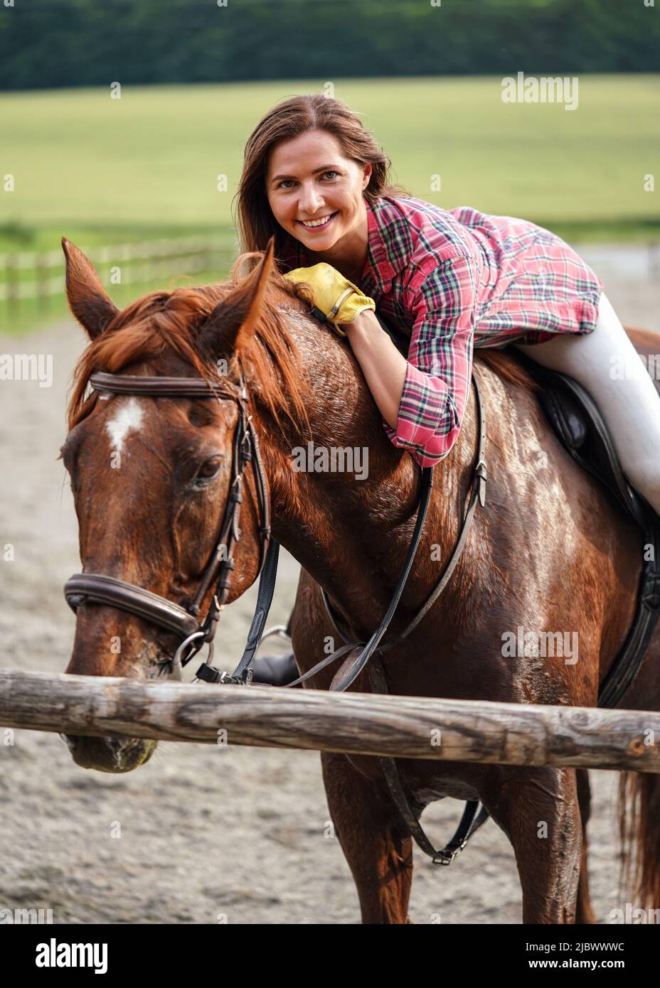 Giovane donna in camicia che riposa sul cavallo marrone dopo aver fatto marcia in avanti, sorridendo: Il cappotto si bagna dal sudore Foto Stock