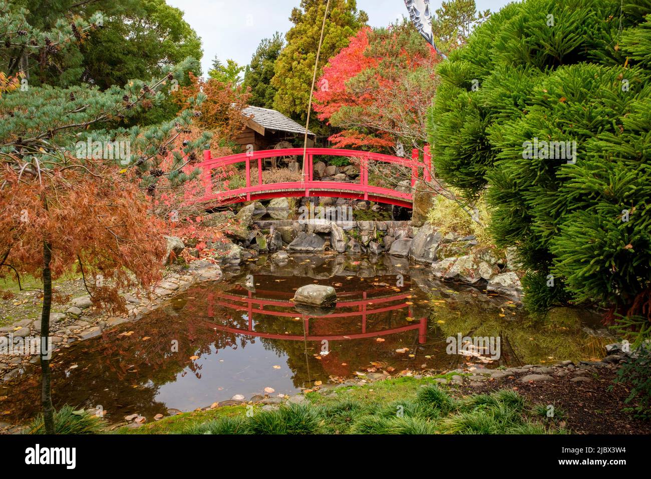 Intorno a Hobart - Giardini Botanici reali della Tasmania, Giardino Giapponese Foto Stock