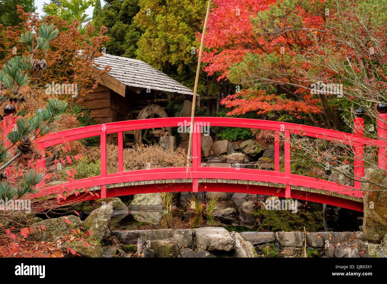 Intorno a Hobart - Giardini Botanici reali della Tasmania, Giardino Giapponese Foto Stock