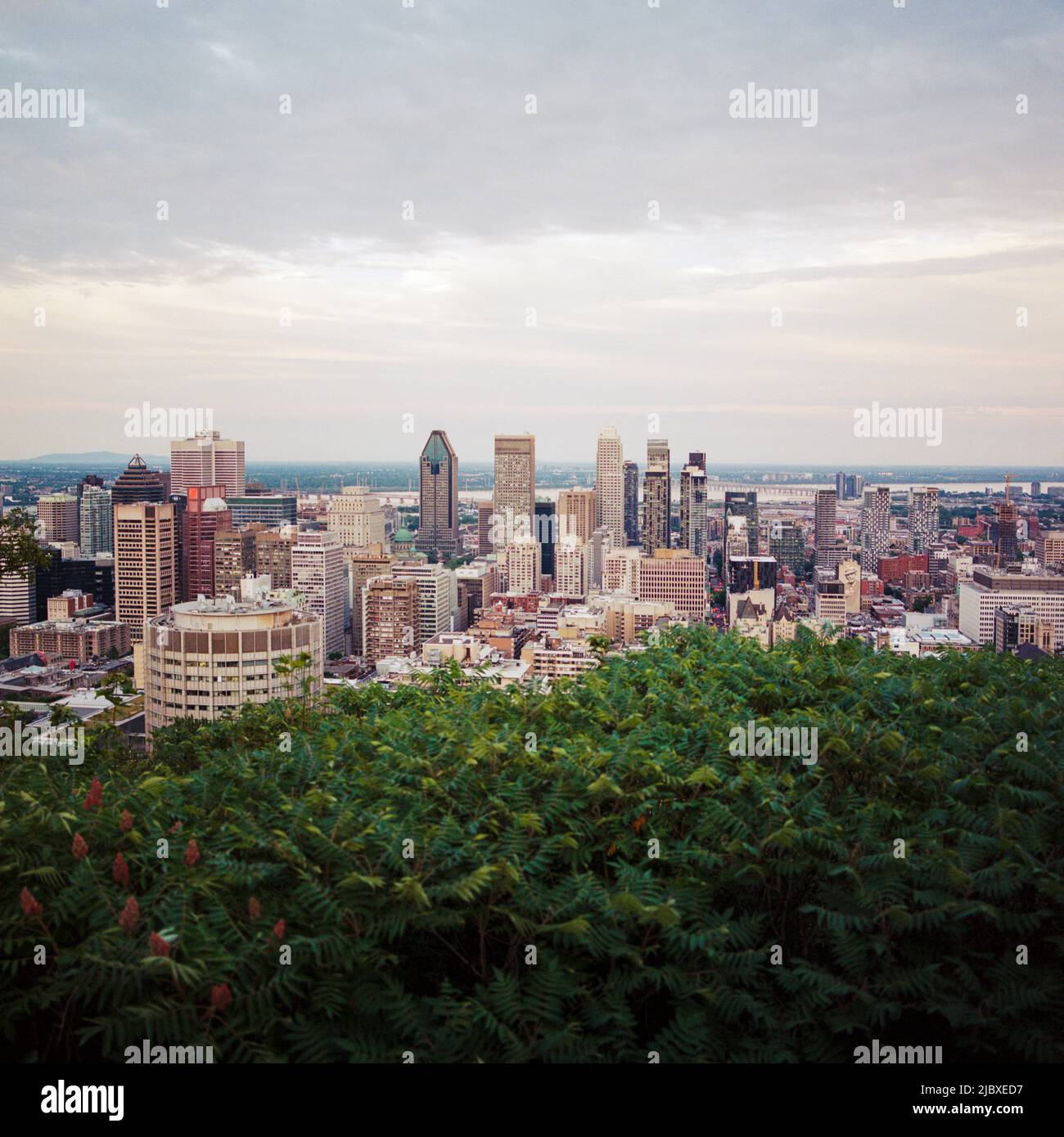Paesaggio urbano dal punto turistico, Montreal, Quebec, Canada, 2021 Foto Stock