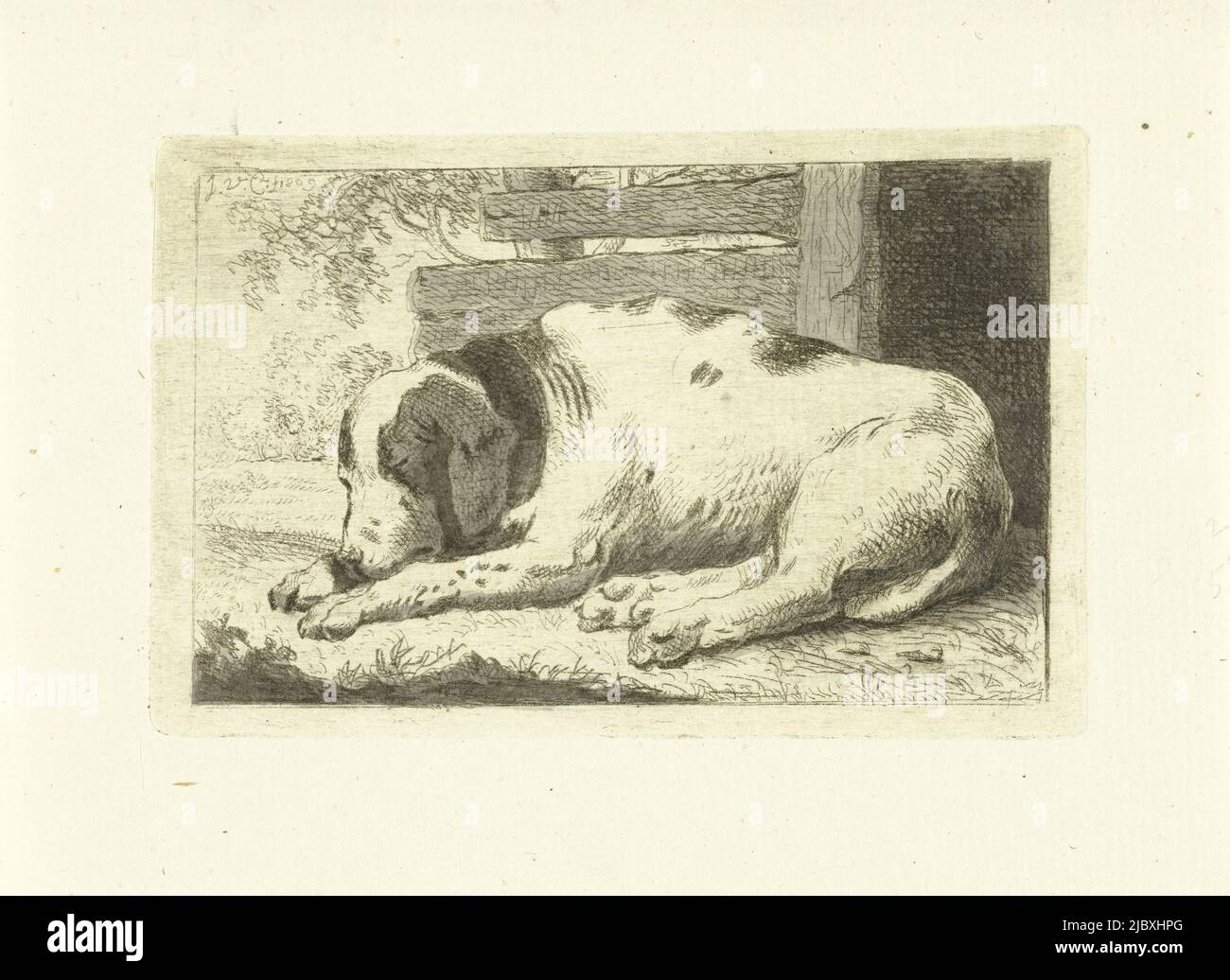 Cane da notte, stampatore: Johannes van Cuylenburgh, (menzionato sull'oggetto), Johannes van Cuylenburgh, Olanda, 1809, carta, incisione, pennello, h 65 mm x l 101 mm Foto Stock
