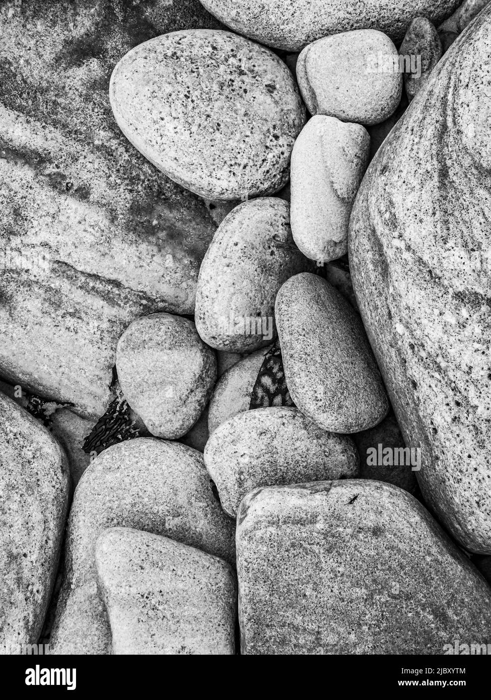 Black & White, rocce da spiaggia su Pebble Island, Isole Falkland Foto Stock