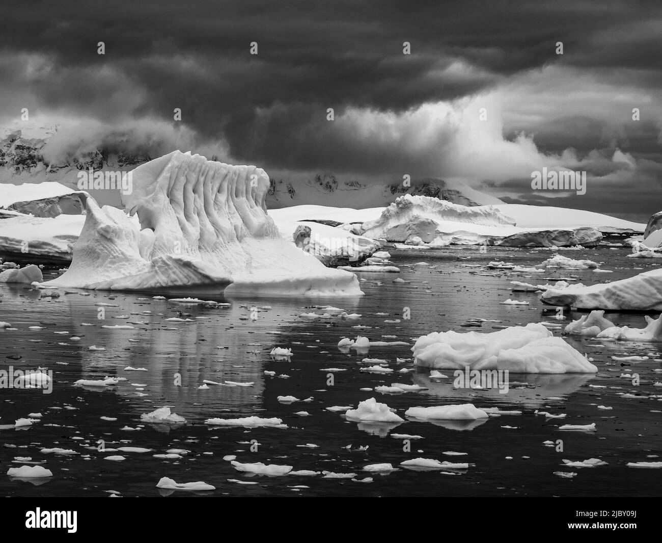 Bianco e nero, iceberg scolpiti in Gerlache Strait, Antartide Foto Stock