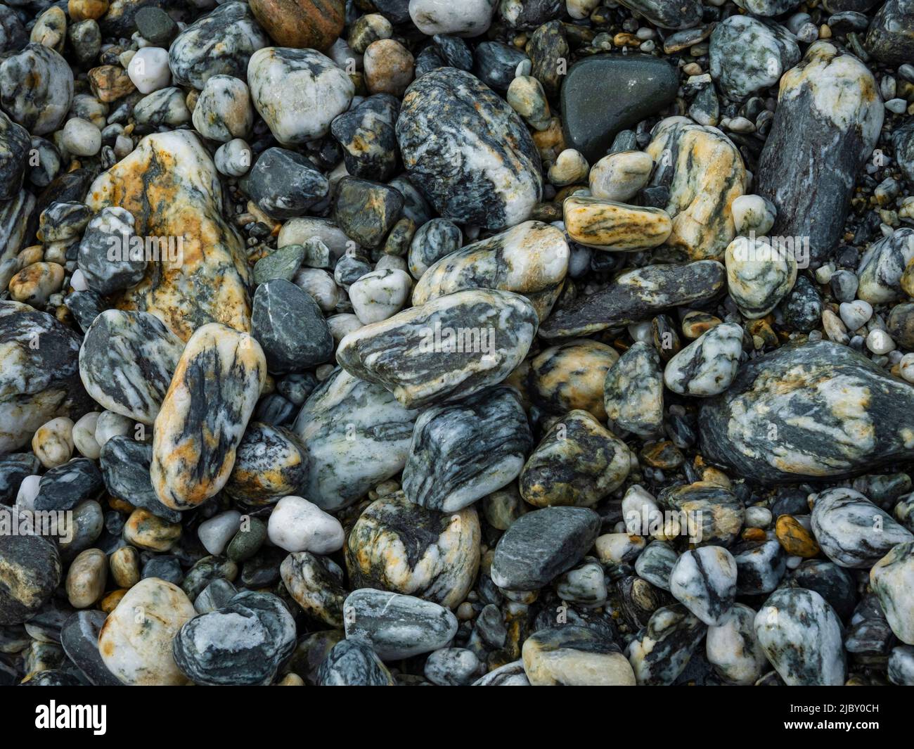 Coronation Island, Arcipelago delle Orcadi del Sud, Antartide Foto Stock