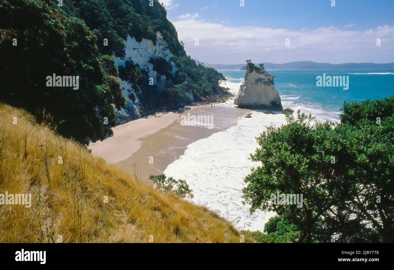 Vista aerea di Cathedral Cove e te Hoho Rock Foto Stock