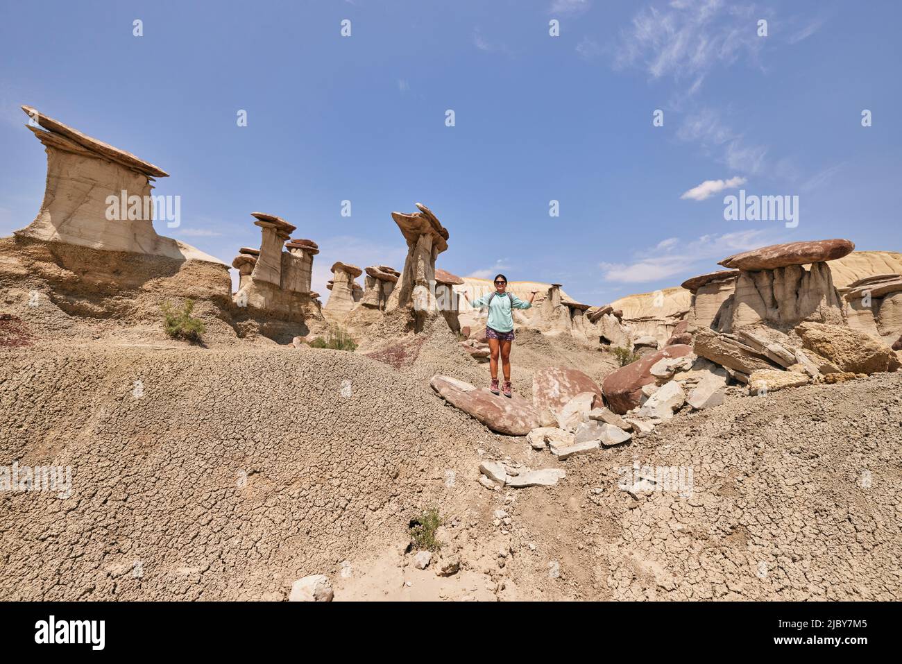 colline color oliva. L'acqua in questa zona è scarsa e non ci sono sentieri; tuttavia, la zona è panoramica e contiene colori tenui raramente visto altrove Foto Stock