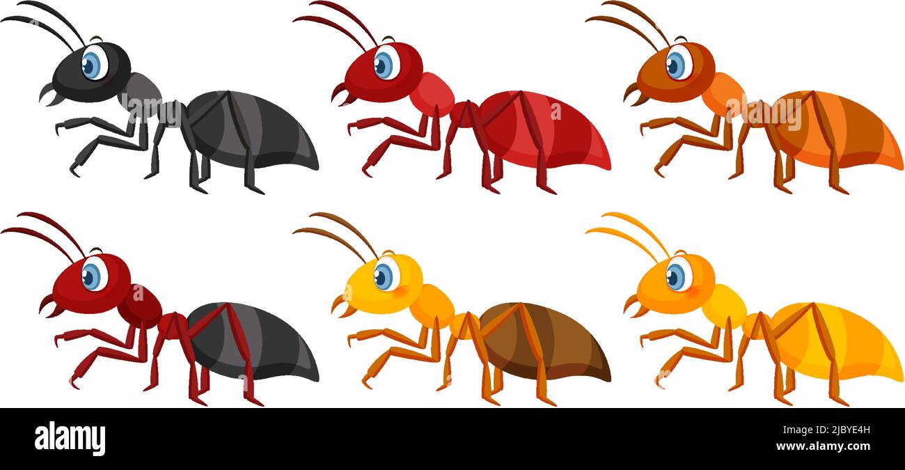 Illustrazione di un set di formiche diverse isolate Illustrazione Vettoriale