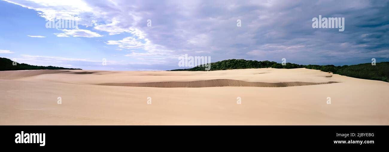 Panorama di una grande collina di sabbia che si estende fino all'orizzonte di macchia e cielo autoctoni sull'Isola di Fraser Foto Stock