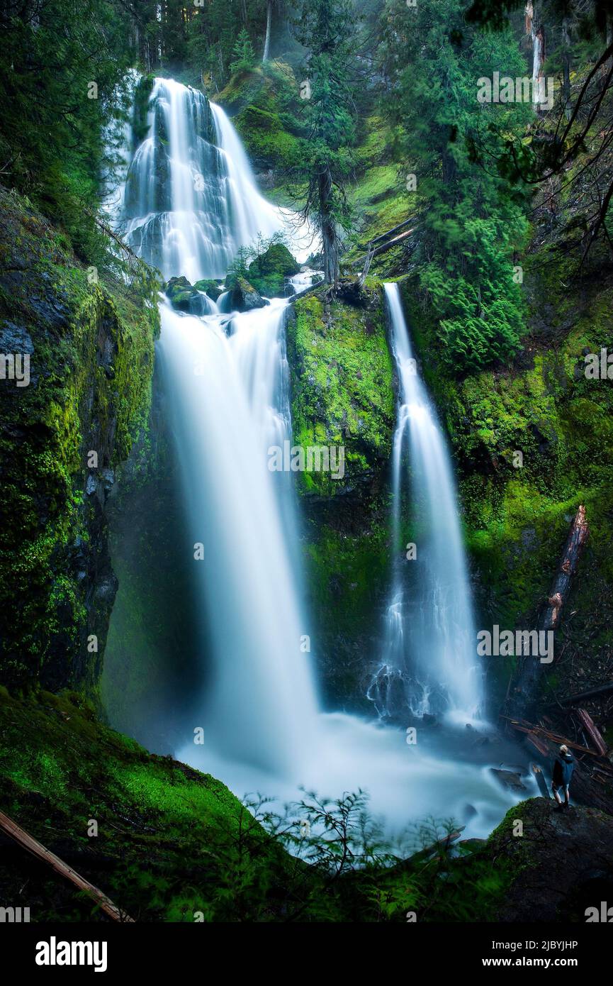 Cascate di Washington, Falls Creek Falls Foto Stock