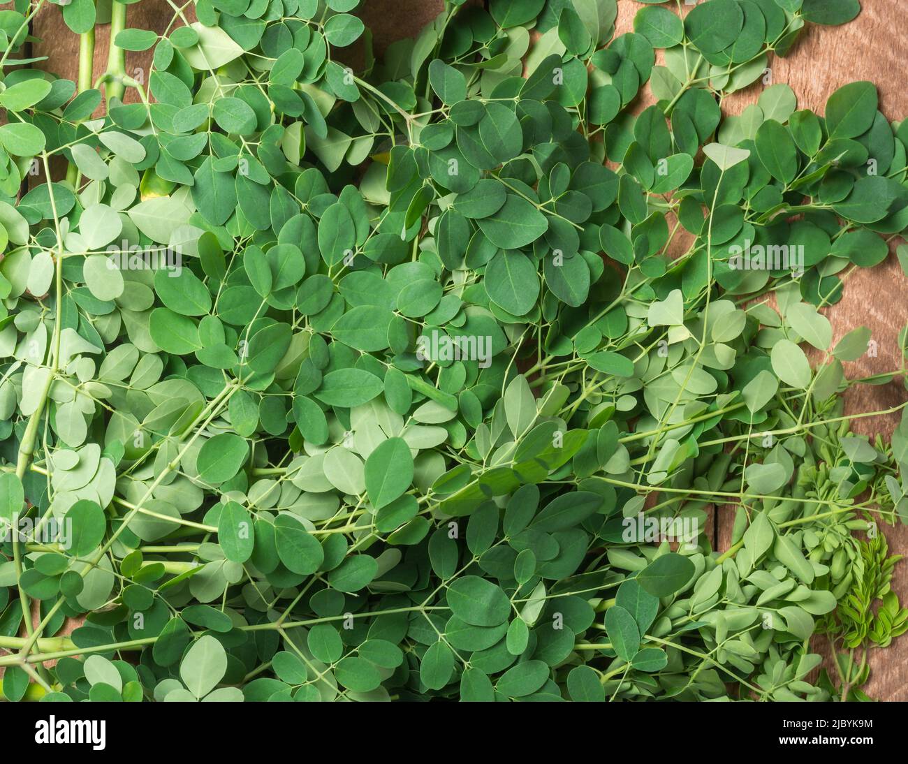 mazzo di foglie di moringa o di bastone di drumstick su un tavolo di legno, vista closeup preso dall'alto Foto Stock