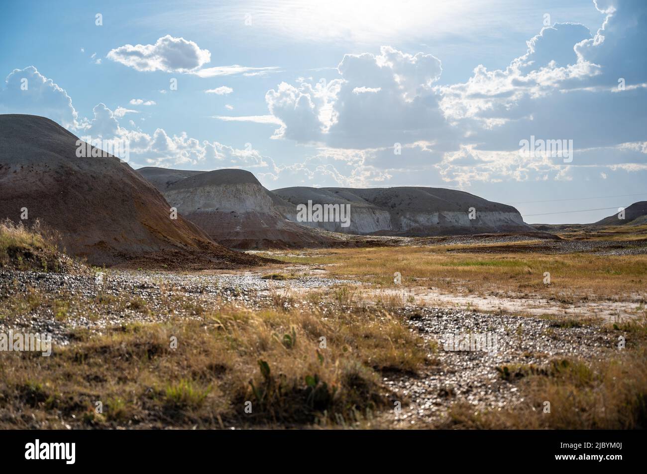 Wakonda agate letti nel bufalo gap nazionale prateria in South Dakota, Stati Uniti Foto Stock