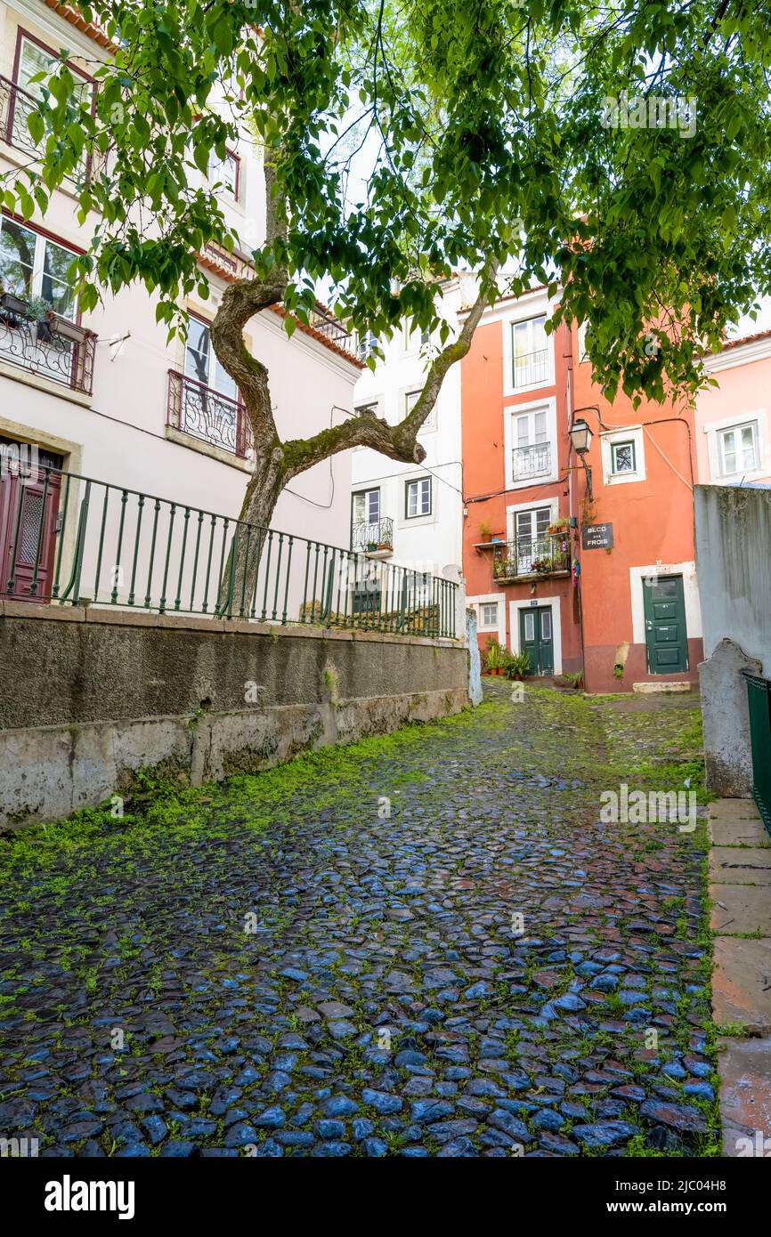 Vecchie case circondavano un cortile acciottolato nel centro di Lisbona, capitale del Portogallo Foto Stock