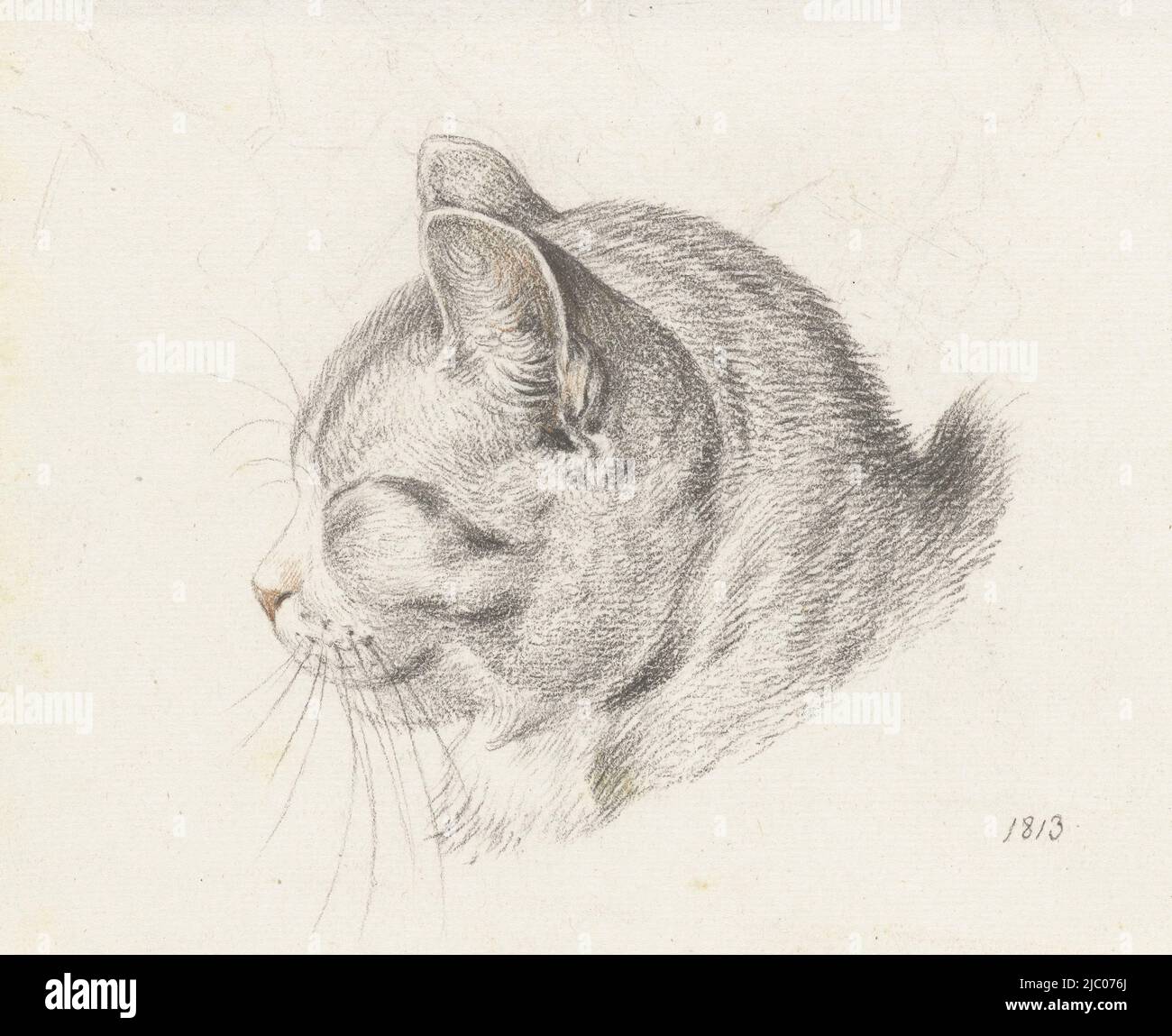 Capo di un gatto, a sinistra, disegnatore: Jean Bernard, 1813, carta, a 130 mm x l 160 mm Foto Stock