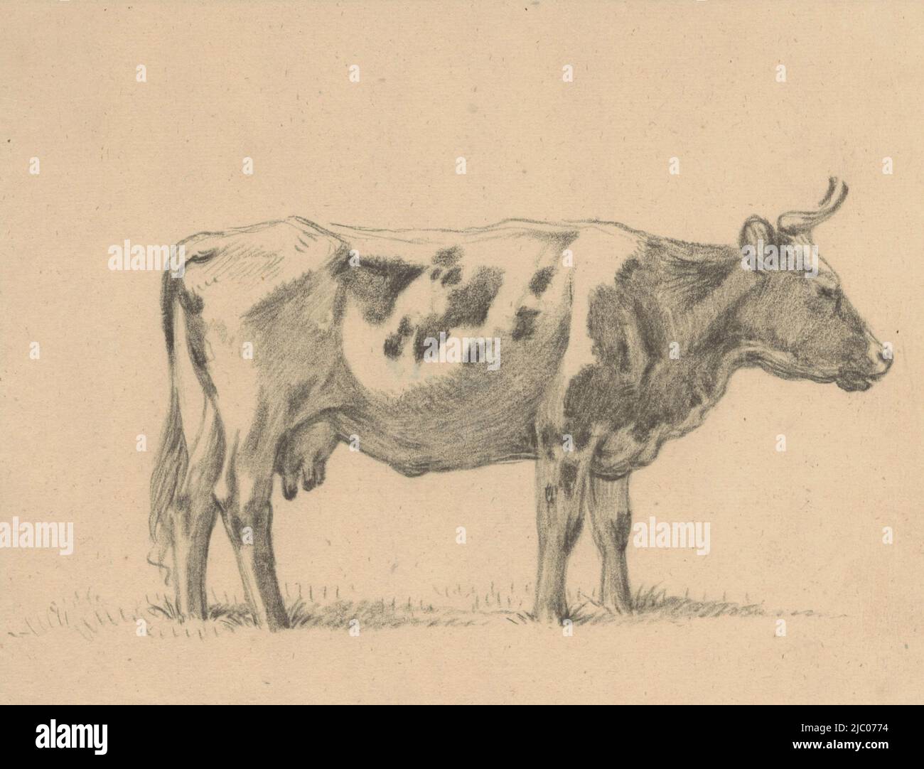 Mucca in piedi, a destra, disegnatore: Jean Bernard, 1820, carta, a 178 mm x l 230 mm Foto Stock