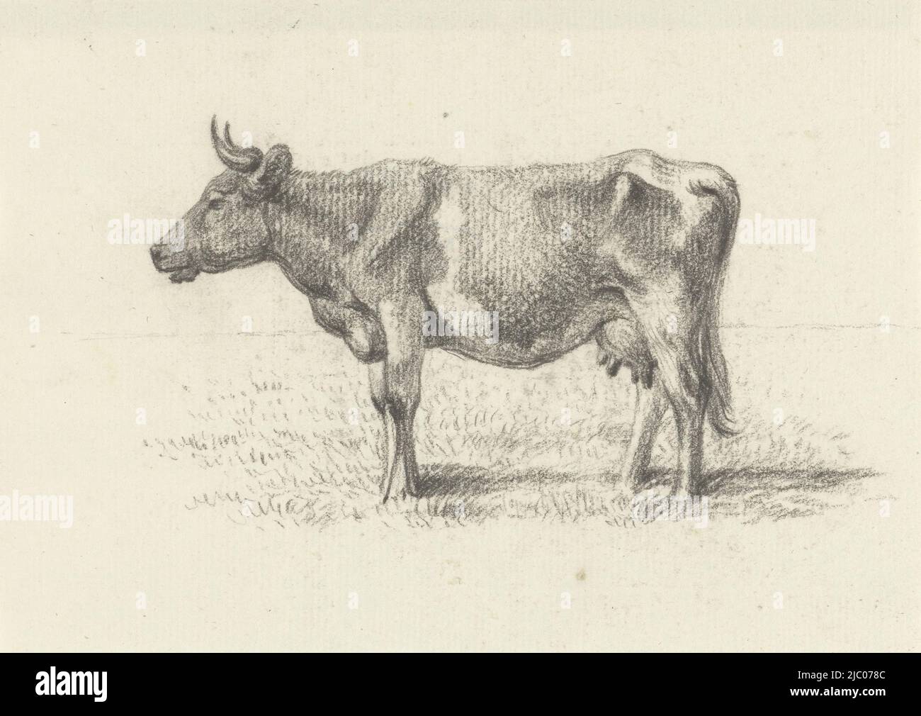 Mucca in piedi, a sinistra, disegnatore: Jean Bernard, 1775-1833, carta, a 114 mm x l 160 mm Foto Stock