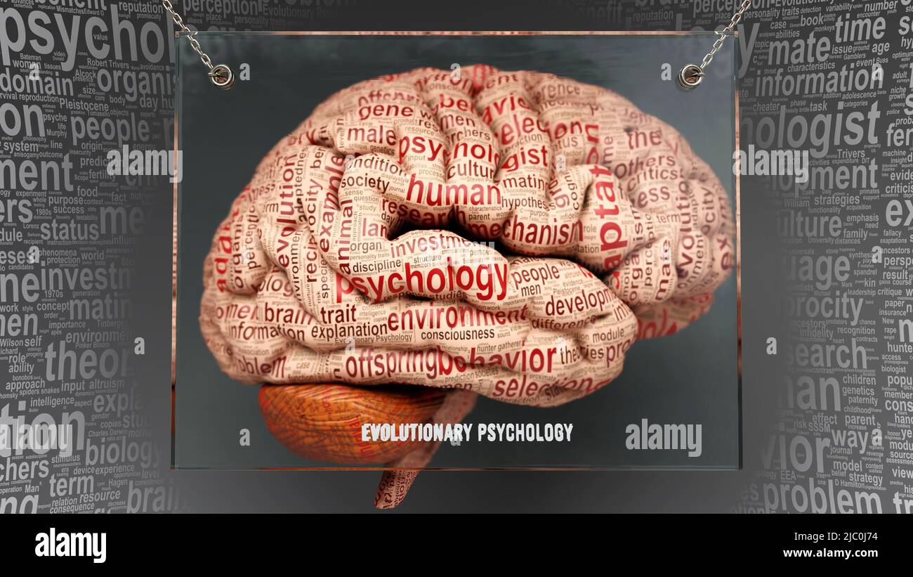 Psicologia evolutiva nel cervello umano - decine di termini che descrivono le sue proprietà dipinte sulla corteccia cerebrale per simbolizzare la sua connessione al mi Foto Stock
