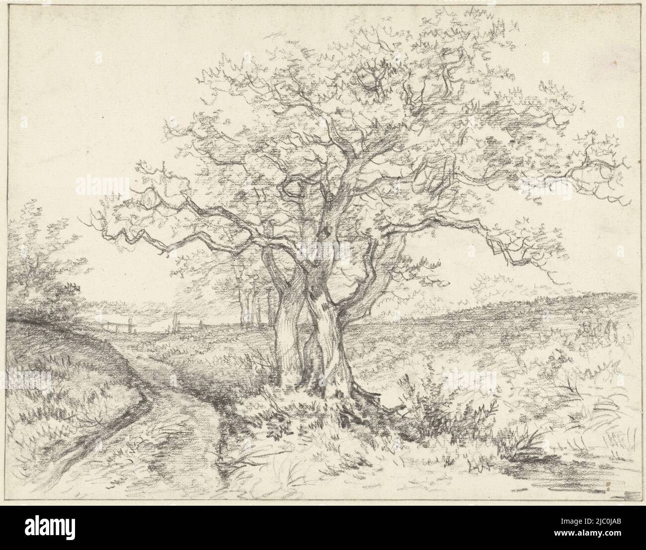 Alberi lungo una strada, disegnatore: Jan Hulswit, 1776 - 1822, carta, h 205 mm x l 264 mm Foto Stock