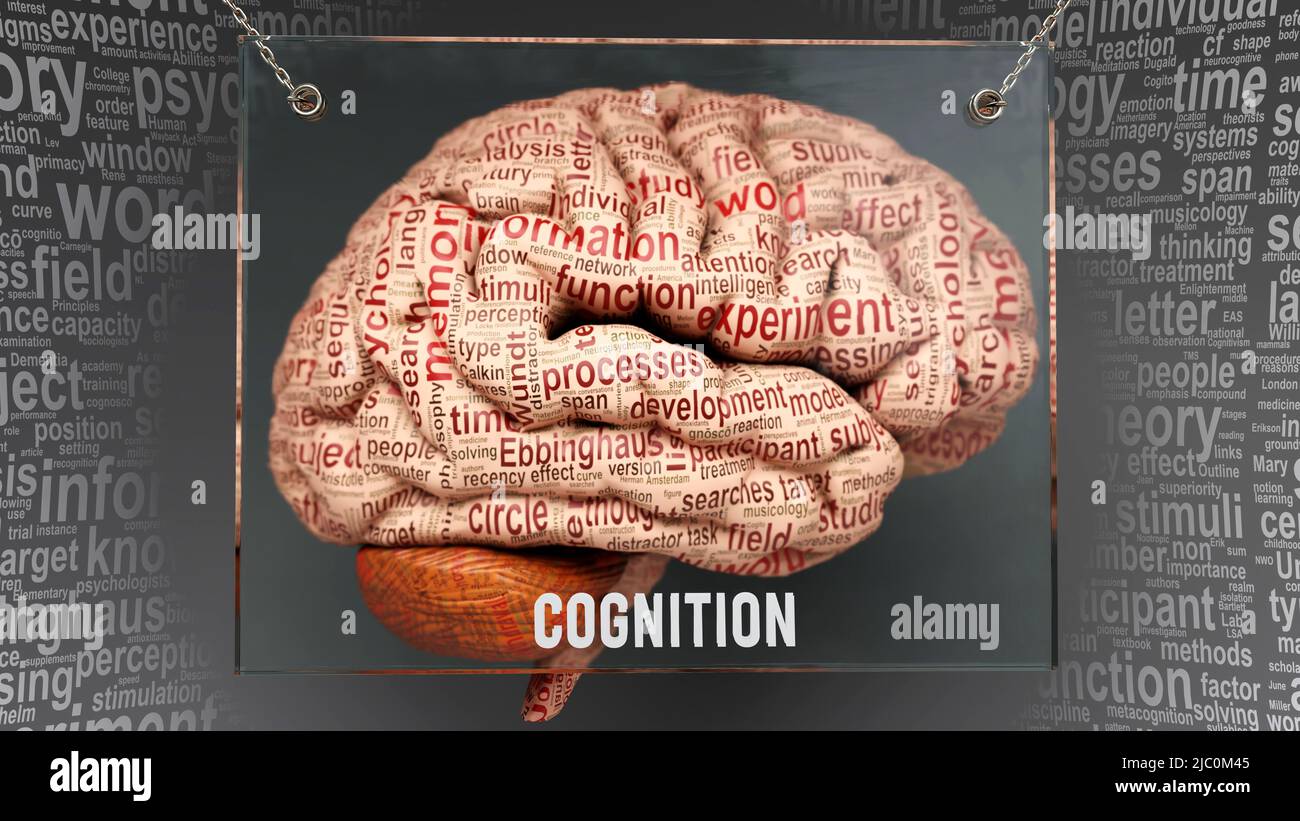 Cognizione nel cervello umano - dozzine di termini importanti che descrivono le proprietà di cognizione e le caratteristiche dipinte sopra la corteccia di cervello per simbolizzare cognizione Foto Stock