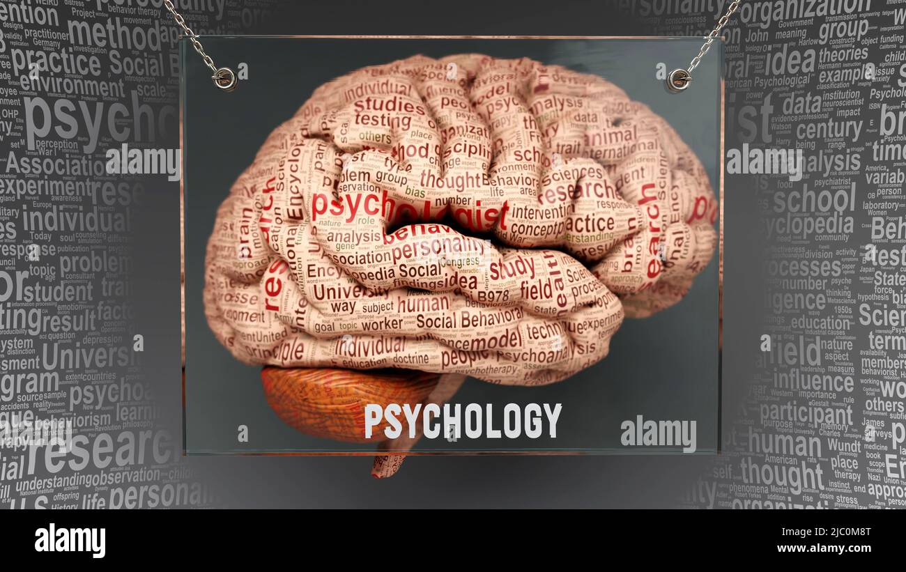 Psicologia nel cervello umano - dozzine di termini importanti che descrivono le proprietà e le caratteristiche di psicologia dipinte sopra la corteccia del cervello per simbolizzare Psychol Foto Stock