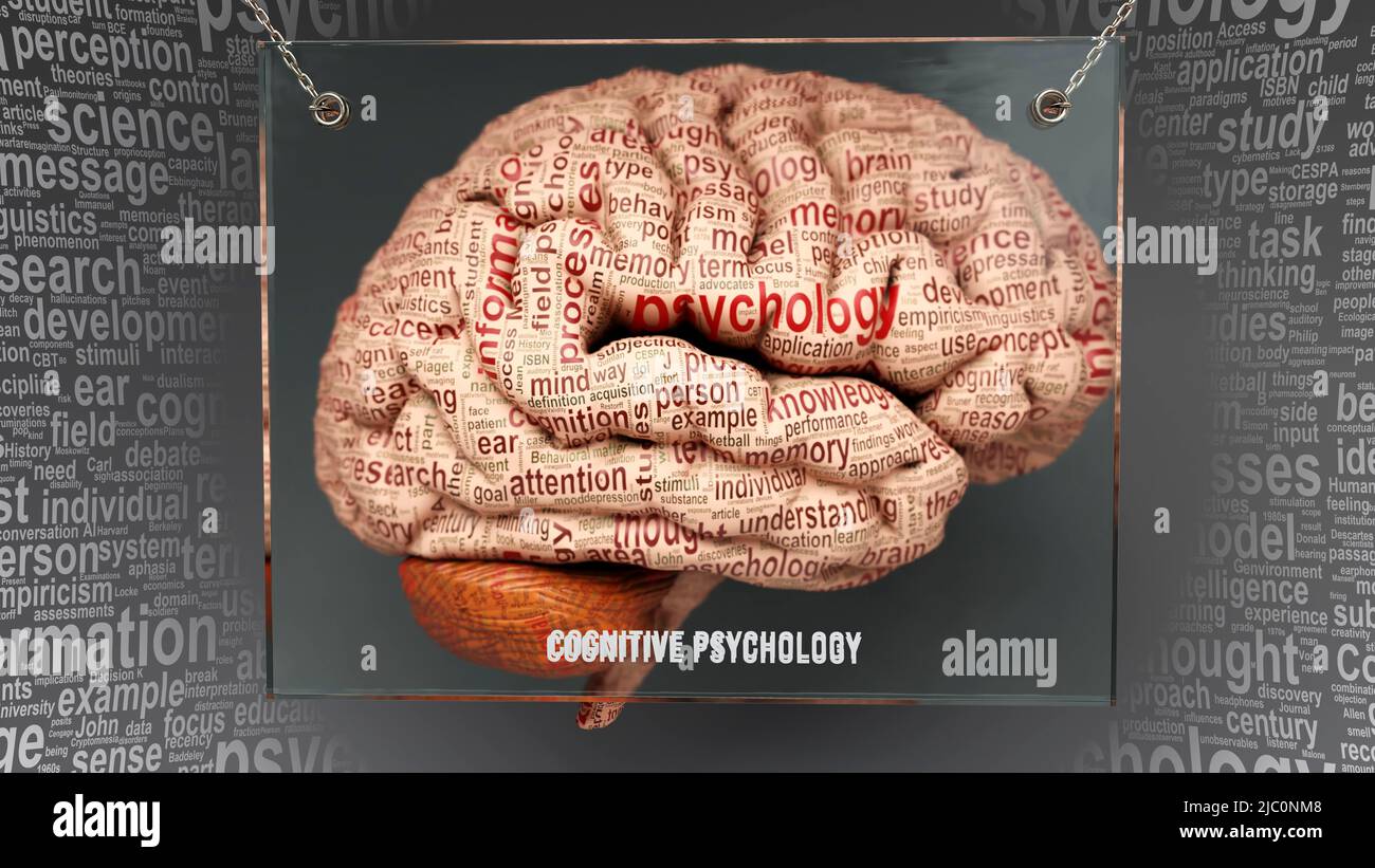 Psicologia cognitiva nel cervello umano - decine di termini che descrivono le sue proprietà dipinte sulla corteccia cerebrale per simbolizzare la sua connessione alla mente. Foto Stock