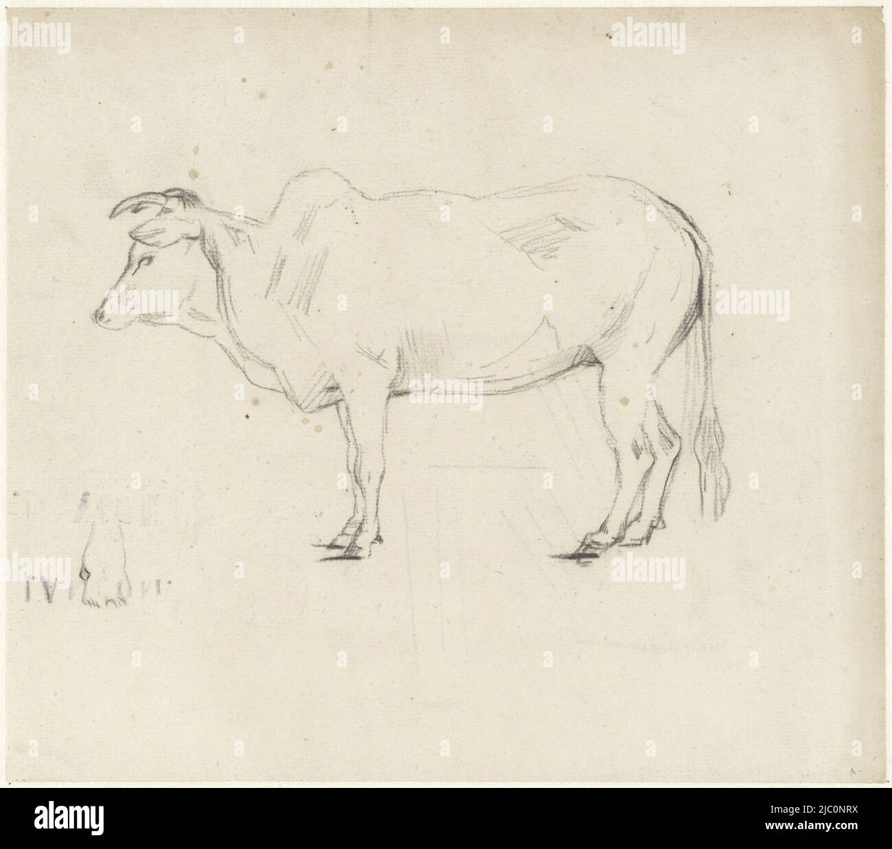 Struttura del carrello, disegnatore: Piet Meiners, 1867 - 1903, carta, h 230 mm x l 260 mm Foto Stock