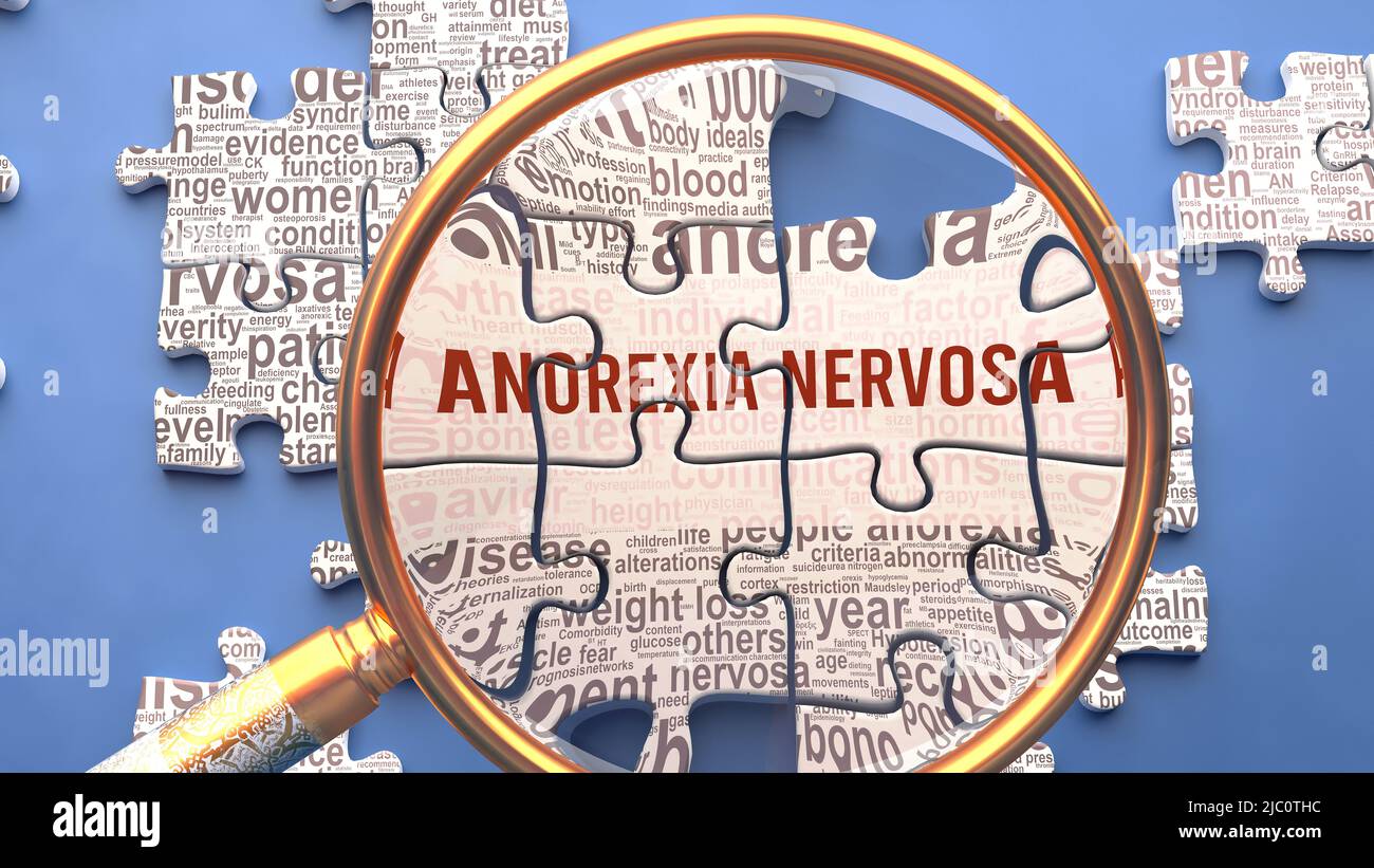 Anoressia nervosa come un argomento complesso e multiparte sotto stretta ispezione. Complessità mostrato come pezzi di puzzle corrispondenti che definiscono decine di idee vitali un Foto Stock