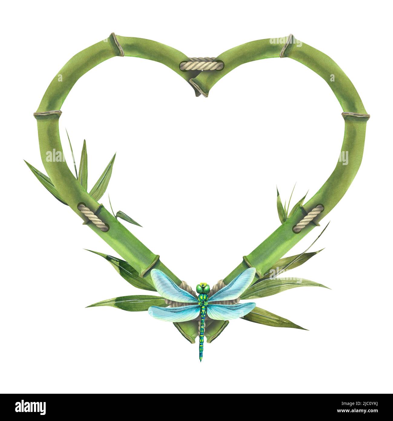 Acquerello illustrazione cuore-a forma di telaio di bambù con corda di iuta, foglie e dragonfly. Bambù asciutto, marrone, gambi. Foto Stock