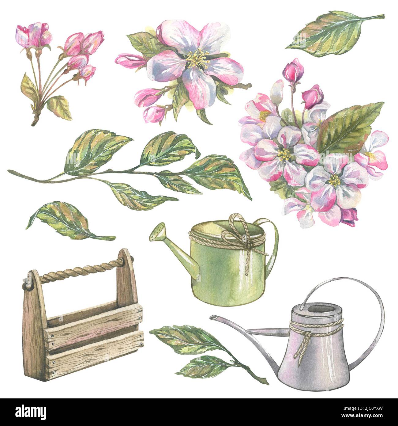 L'illustrazione di acquerello è un insieme degli elementi degli alberi da frutto fiorenti e degli attrezzi del giardino. Foto Stock