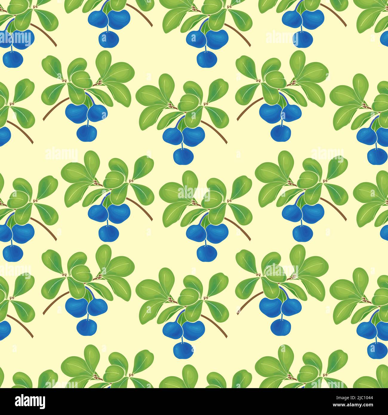 Modello Blueberry senza cuciture. Illustrazione vettoriale Illustrazione Vettoriale