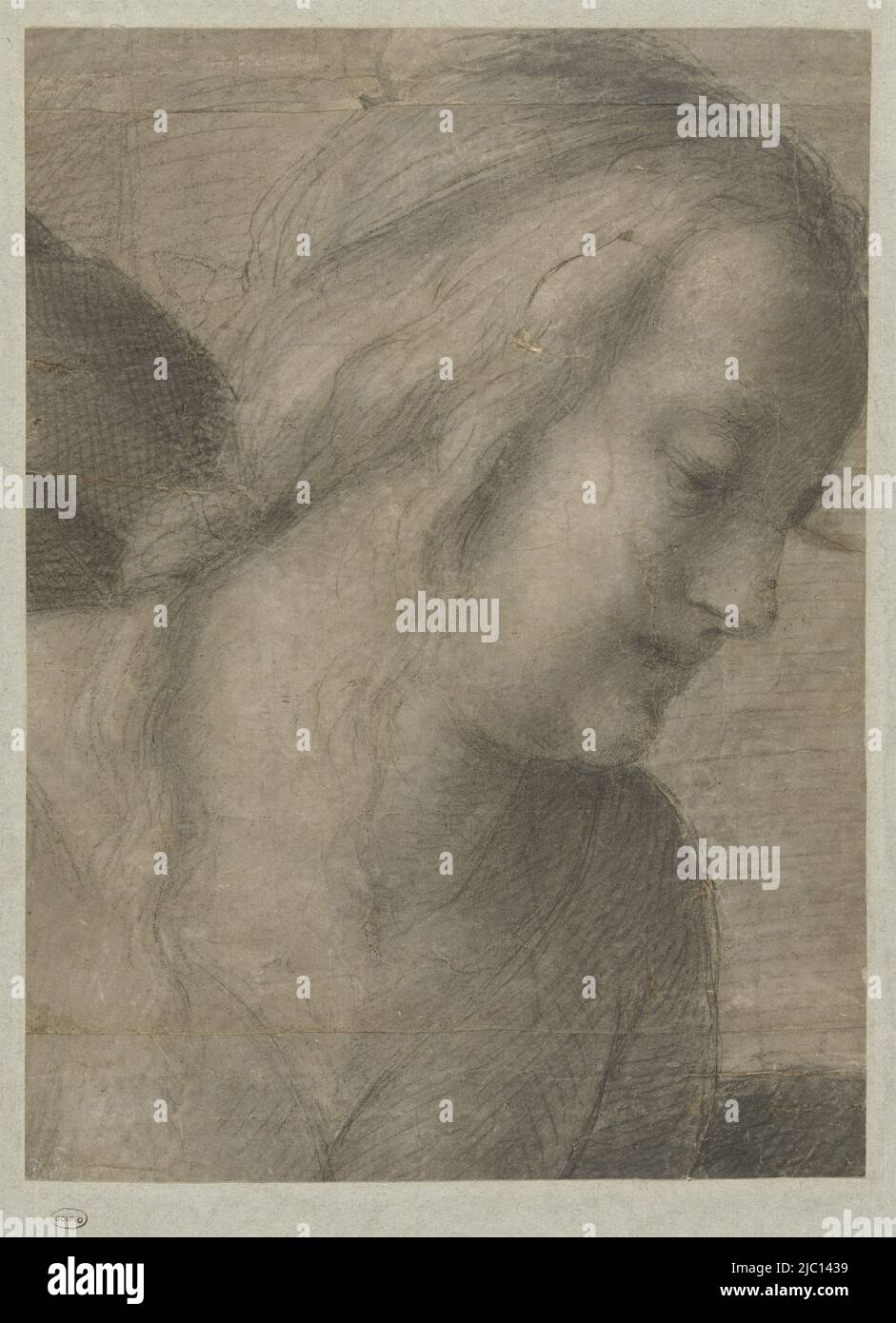 Testa di Maria, in Adorazione, disegnatrice: Andrea del Sarto, 1518 - 1523, carta, h 321 mm x l 239 mm Foto Stock