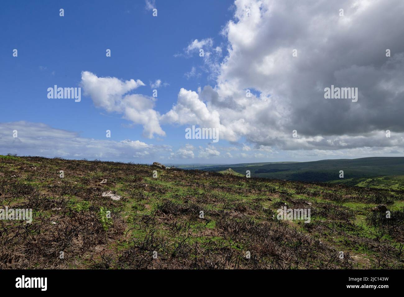 Parco Nazionale di Dartmoor, Devon, Regno Unito Foto Stock