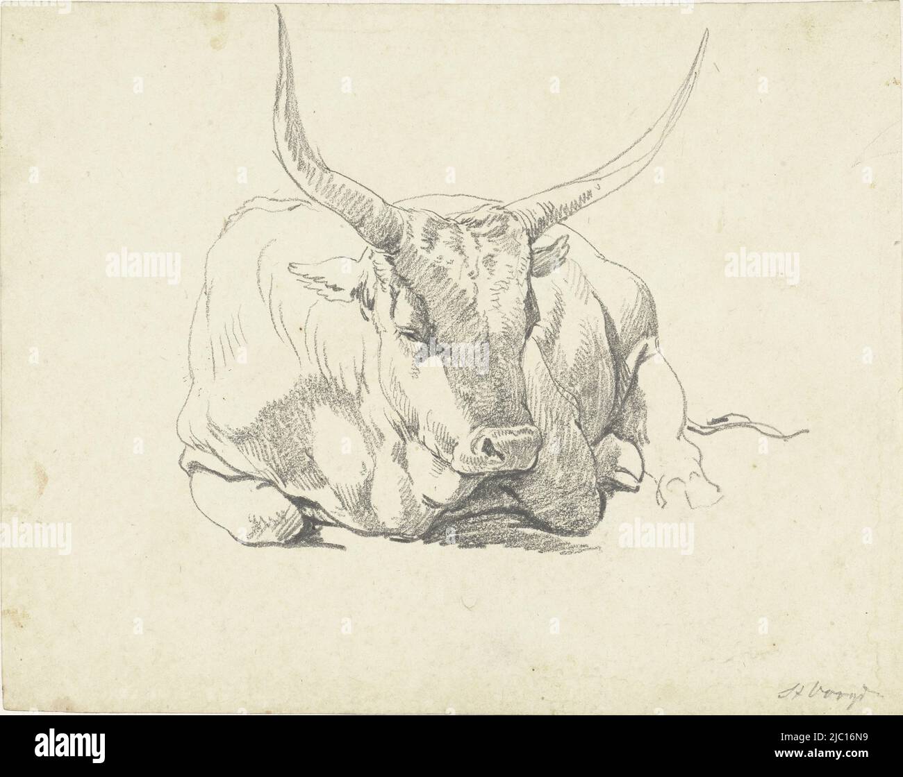 Vacca reclinabile con corna lunghe, disegnatore: Hendrik Voogd, 1788 - 1839, carta, h 210 mm x l 265 mm Foto Stock