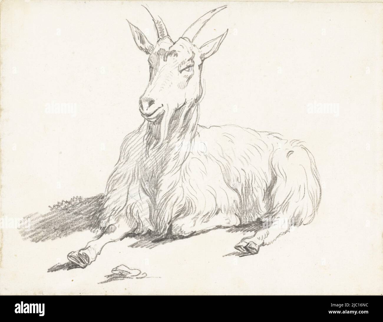 Capra reclinabile, disegnatore: Hendrik Voogd, 1788 - 1839, carta, h 160 mm x l 223 mm Foto Stock