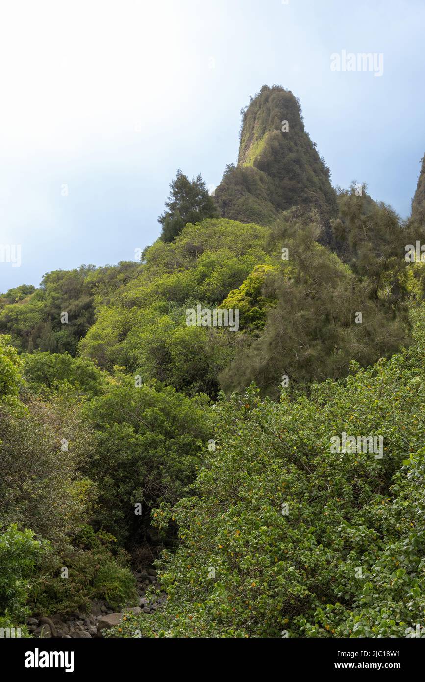IAO Valley, Iao Needle, Kuka'emoku, ago verde di roccia, USA, Maui, Iao Valley state Park Foto Stock