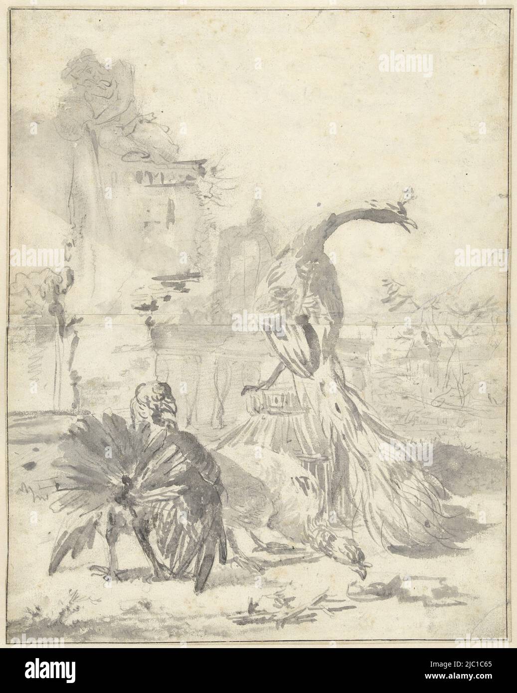 Hoenderhof con un pavone e due tacchini, disegnatore: Jan Weenix, 1650 - 1719, carta, pennello, a 377 mm x l 300 mm Foto Stock