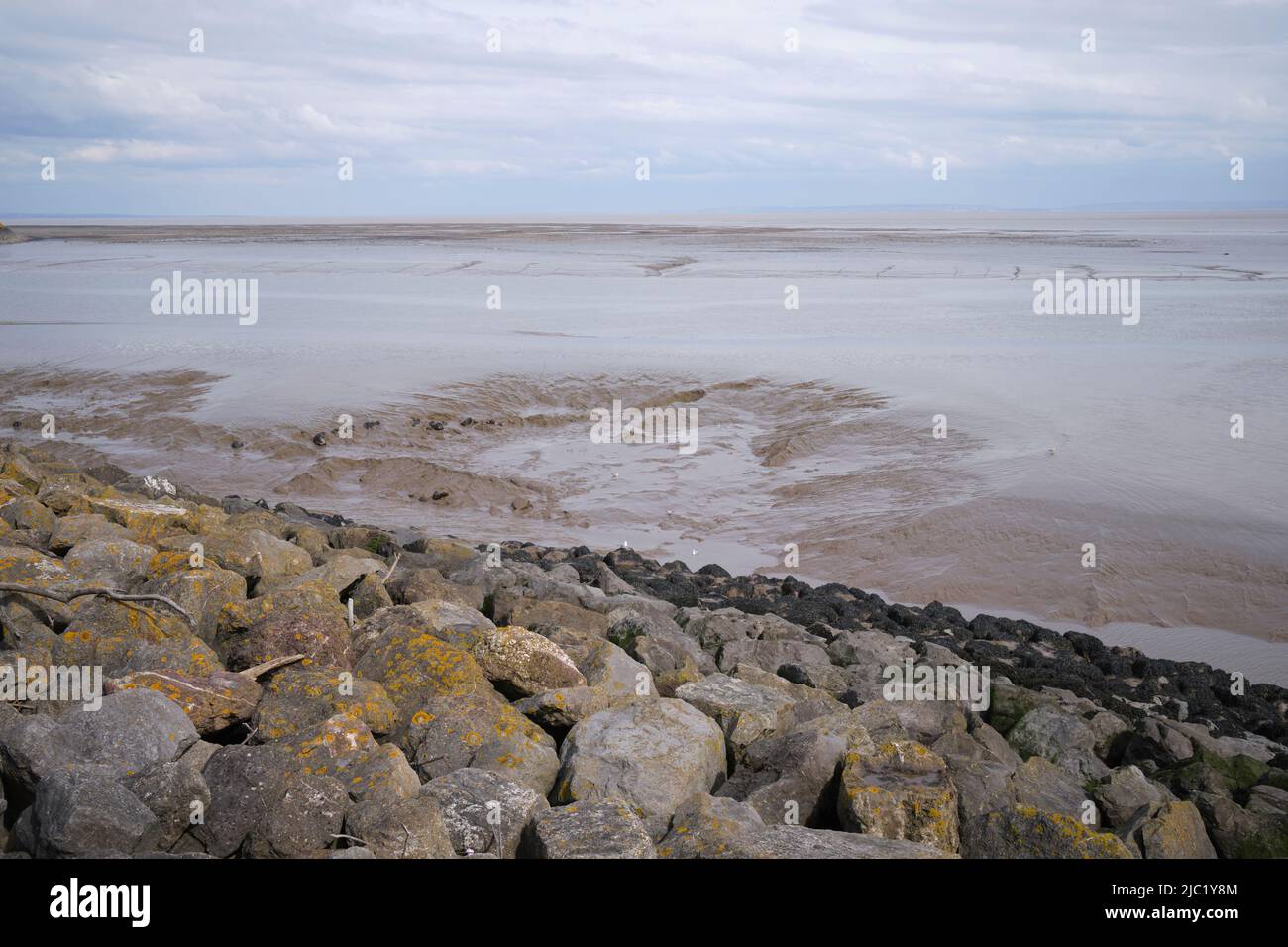 Cardiff Bay Mud Bank Foto Stock