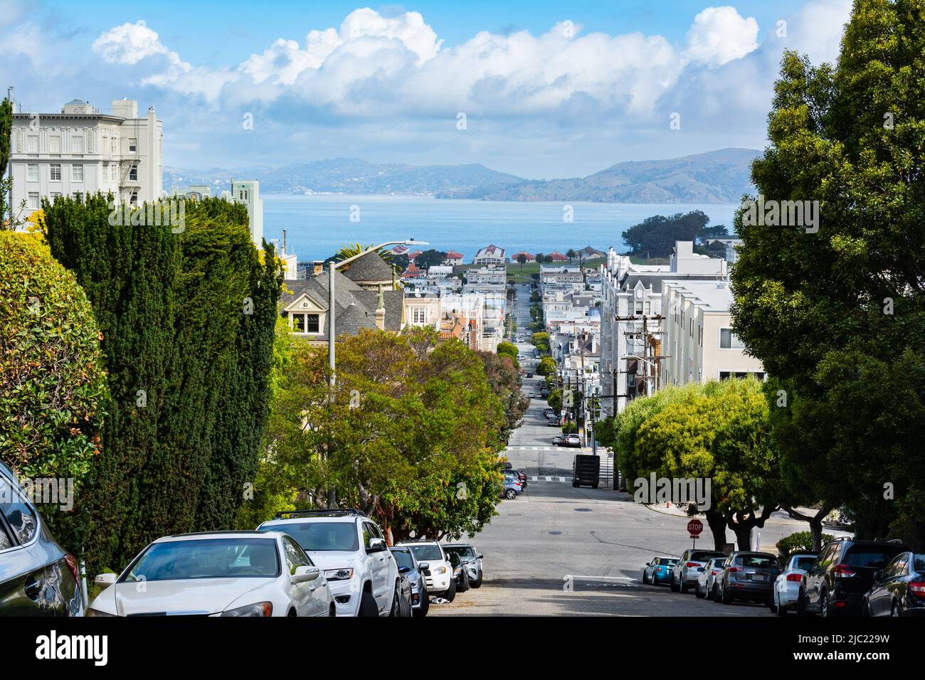 Vista sulla baia di San Francisco da Octavia Street, San Francisco, California Foto Stock