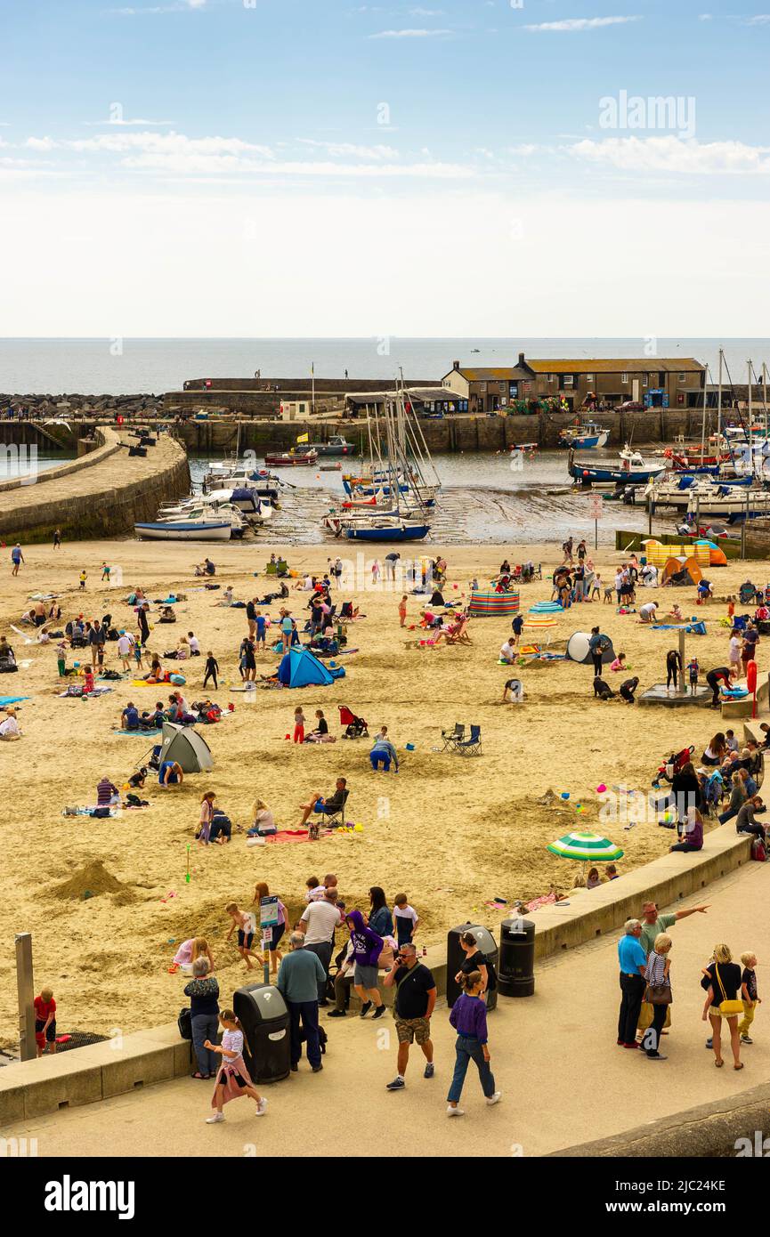Lyme Regis Harbour, al sole dall'alto, Dorset, Inghilterra Foto Stock