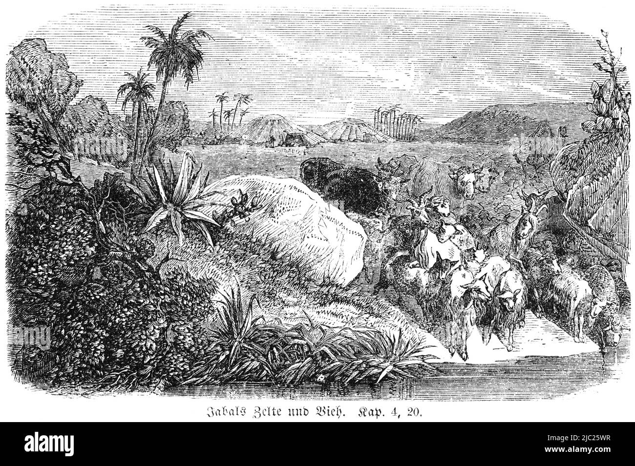 Tende e bestiame di Giacobbe, Bibbia, Antico Testamento, primo Libro di Mosè, Genesi, Capitolo 4, versetto 20, Illustrazione storica 1850 Foto Stock