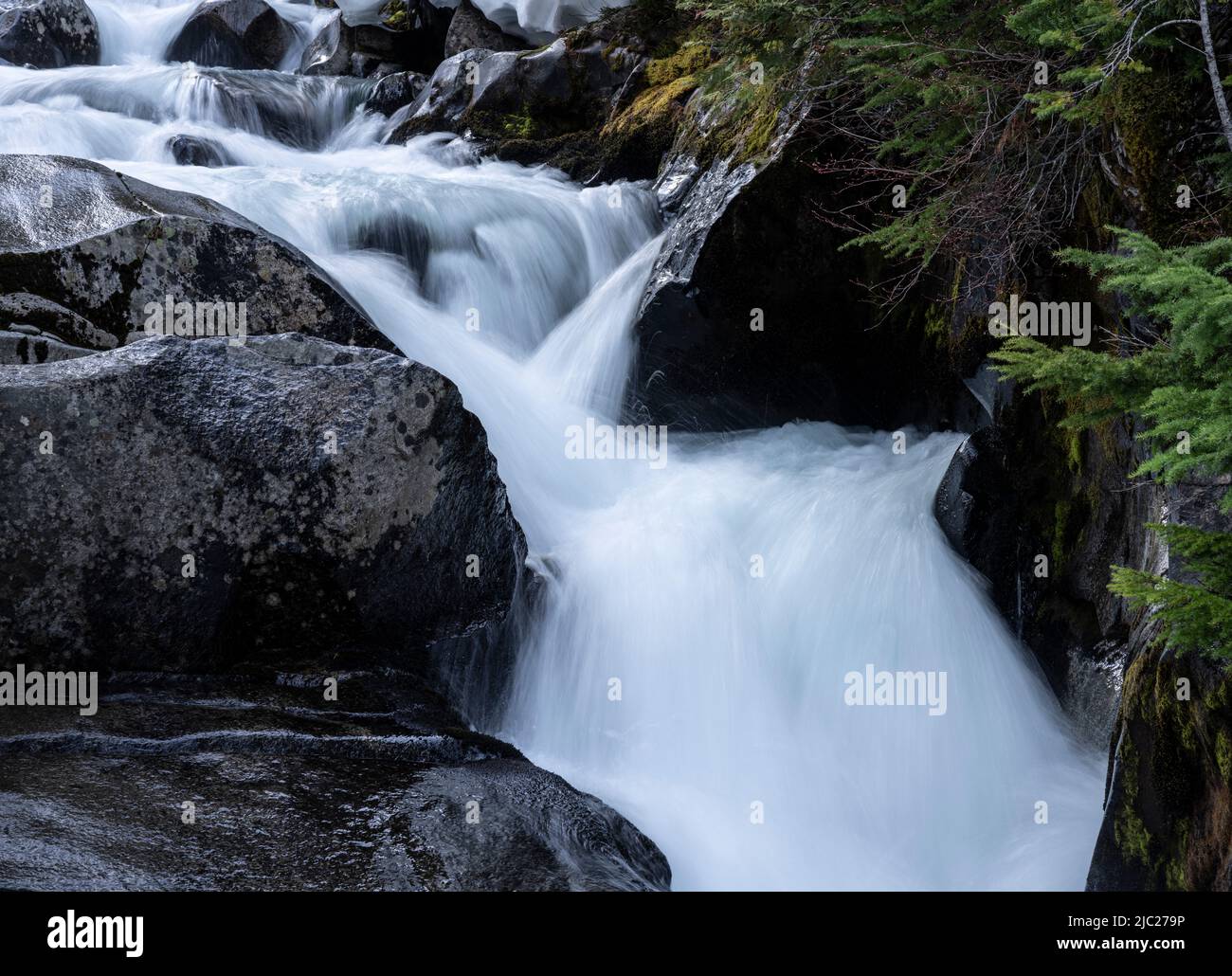 Cascate di Ruby sul fiume Paradise nel Parco Nazionale di Mount Rainier. Foto Stock