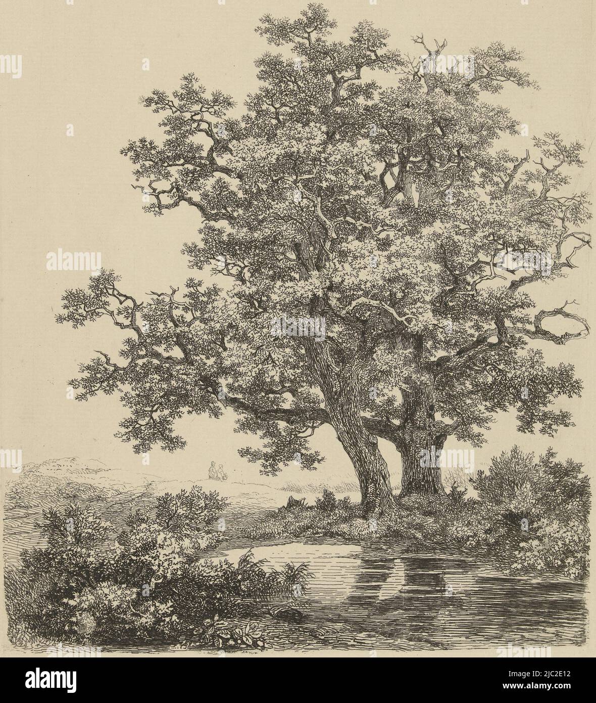 Un paesaggio con due querce da un laghetto e sullo sfondo una coppia camminante con un cesto., due querce da un lago, tipografo: Remigius Adrianus Haanen, Austria, (possibilmente), in o prima del 1850, carta, incisione, h 233 mm x w 195 mm Foto Stock