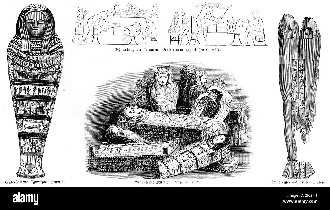 Mummie egiziane, Bibbia, Antico Testamento, primo Libro di Mosè, Genesi, Capitolo 50, versetto 2, Illustrazione storica 1850 Foto Stock